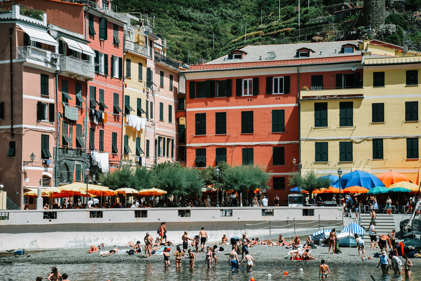 Summer in Vernazza